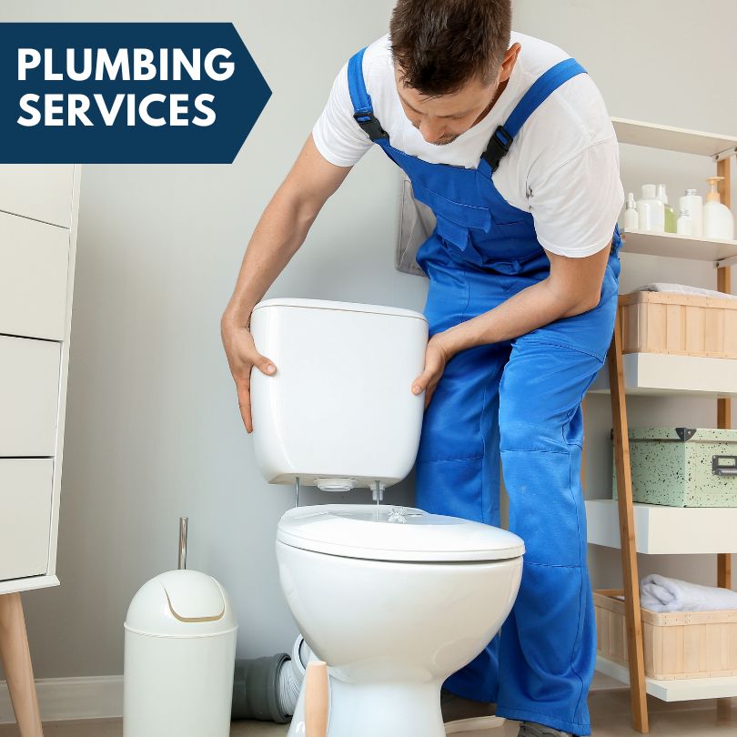 Plumbing Company in Lakeland, MI